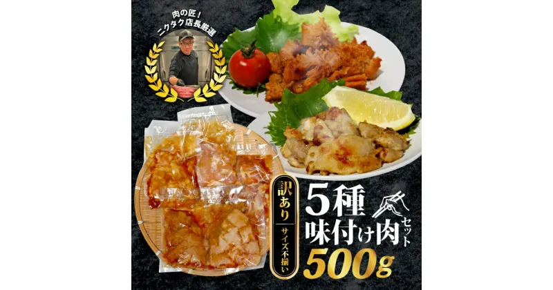 【ふるさと納税】 【訳あり】味付け肉 5種類セット 500g 特製つけだれ 味付け肉 漬け込み肉 お手軽焼肉 今夜の一品 焼くだけ てっちゃん みそ味 とりもも 塩だれ味 上ミノ 味噌漬け コク 甘み 特L規格 ミノ ねぎ塩 葱 ネギ 鶏もも肉 もも 焼き肉 BBQ バーベキュー キャンプ