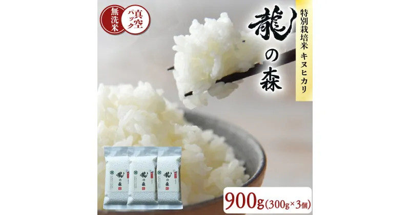 【ふるさと納税】 龍の森 真空パック キヌヒカリ 無洗米 300g×3個 計900g お米 米 真空包装 旨味 甘み 特別栽培米 AM酵素農法 長期保存 京都府 南丹市