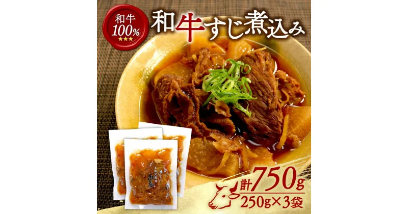 【ふるさと納税】 和牛すじ煮込み 750g（250g×3袋）和牛 すじ煮込み 冷凍 小分け 肉 牛 牛肉 ごはんのお供 個包装 ふるさと納税 おかず 煮物 牛筋 牛すじ 木津川市 京都