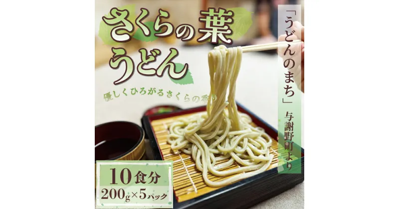 【ふるさと納税】 さくらの葉うどん 1kg 200g×5パック うどん 生めん 生麺 生うどん 生 麺 めん 桜 さくら お祝い 祝 内祝い お盆 正月 贈答 ギフト プレゼント 冷凍 小分け 個包装 200g 1キロ 1万円 10000円 菊水食品 与謝野 丹後 京都