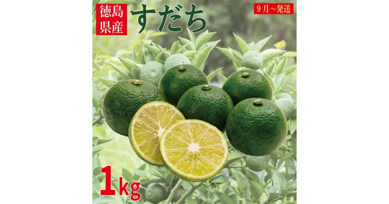 【ふるさと納税】 すだち 1kg 徳島県産 2025年9月から発送 柑橘 果汁 皮 しぼり 絞り 汁 旬 みかん かぼす レシピ そうめん うどん そば パスタ 豚 肉 焼き 魚 ぶり さんま 輪 切り 保存 楽 ちん デザート サワー ゼリー サプリ ビタミン C 美容 名産 JA 徳島 とくしま 神山