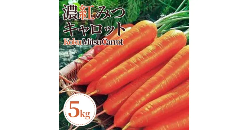 【ふるさと納税】 にんじん 人参 5kg 2025年 4月から 発送 濃紅みつ キャロット 甘い 季節 春 野菜 新鮮 旬 煮物 炒め物 漬物 鍋 味噌汁 家庭用 弁当 惣菜 おかず 健康 栄養 海陽 徳島