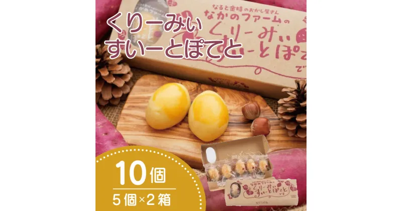 【ふるさと納税】 なると金時 スイートポテト 10個 ( 5個 × 2箱 ) 個包装 なかのファームのくりーみぃすいーとぽてと 芋 お芋 スイーツ お菓子 甘さ控えめ 洋菓子 手土産 ギフト 徳島県