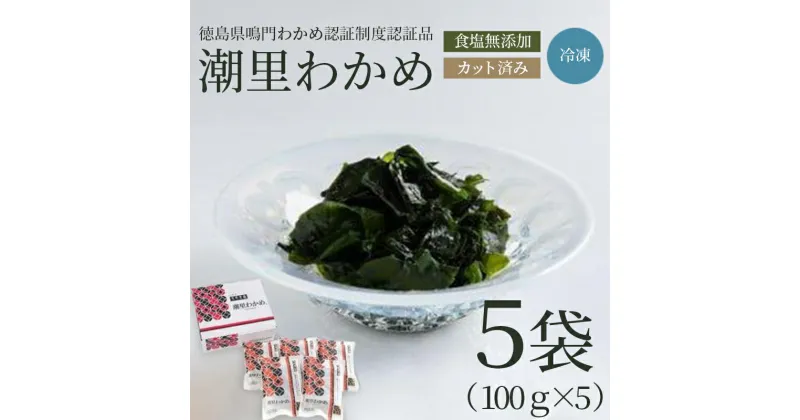 【ふるさと納税】 わかめ 国産 500g 100g × 5袋 カットわかめ 徳島県 鳴門 わかめ 米 こめ 味噌 汁 潮里わかめ 湯通し 冷凍わかめ カット 食塩 無添加 個包装 手間いらず なし お手軽 調理 料理 潮里