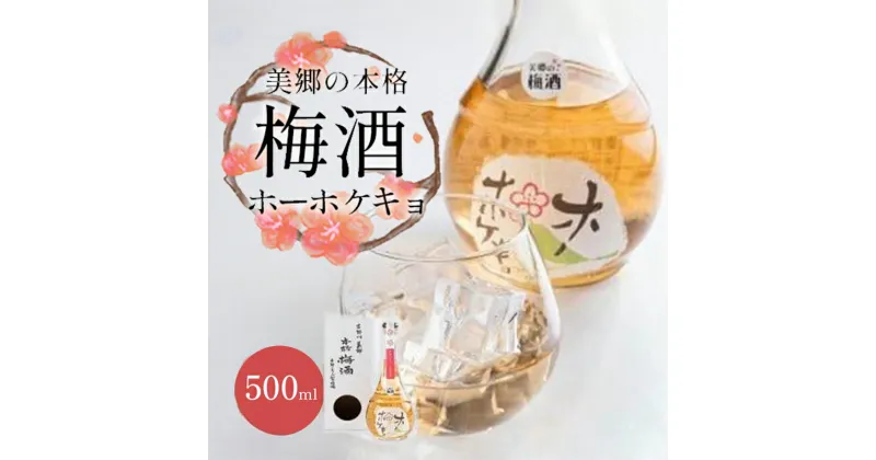 【ふるさと納税】 梅酒 ギフト ホーホケキョ 500ml 1本 アルコール度数 12度 美郷 本格梅酒 お酒 酒 梅 うめ フルーティー 女性 フルーツ 果物 徳島県 美郷地区