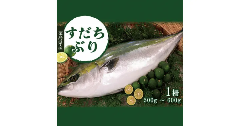 【ふるさと納税】 すだちぶり 柵状 500g から 600g 10月から発送 すだち ぶり 刺身 さしみ さかな 鰤 丼 ご飯 魚 柑橘 先行予約 冷蔵 切り身 塩 焼き 産地直送 ブランド みかん ごはん 米 鮮度 新鮮 ブリ 下処理済み 便利 簡単 手間 なし 国産 人気 徳島 鳴門 なると