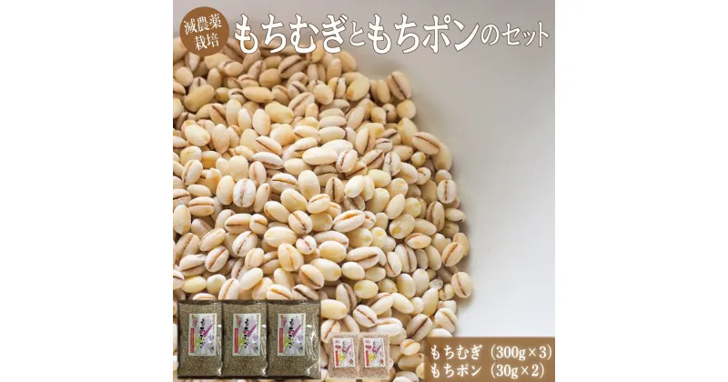 【ふるさと納税】 もち麦 ポン菓子 お菓子 もちむぎ 300g×3 もちポン 30g×2 セット 詰め合わせ 麦 大麦 もち麦 和菓子 健康 食物繊維 スーパーフード ダイエット 福井園芸 阿波 徳島