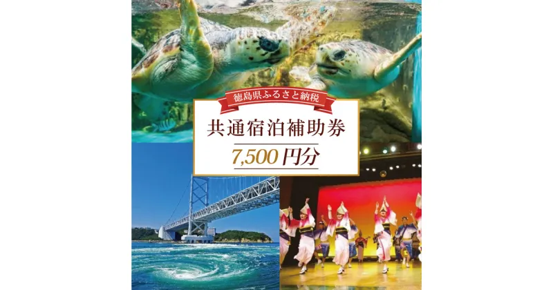 【ふるさと納税】 共通宿泊補助券 7,500円分 温泉 観光 旅行 ホテル 旅館 クーポン チケット 宿泊券 旅行券 宿泊 トラベルクーポン トラベル 徳島