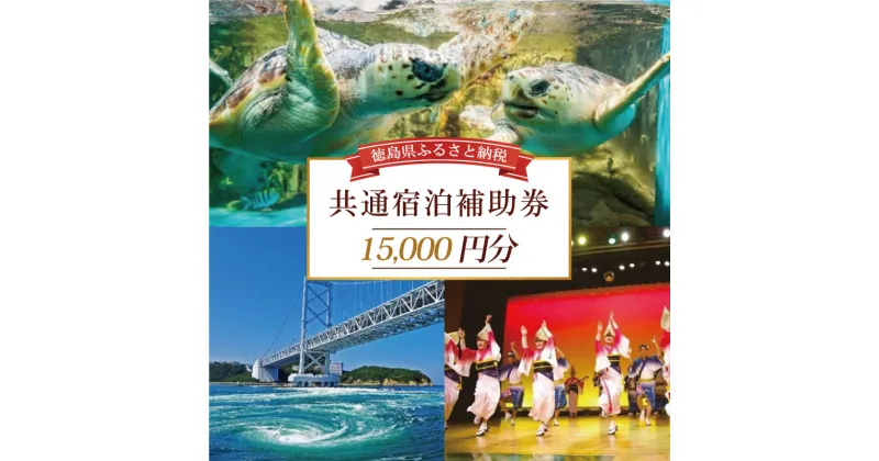 【ふるさと納税】 共通宿泊補助券 15,000円分 温泉 観光 旅行 ホテル 旅館 クーポン チケット 宿泊券 旅行券 宿泊 トラベルクーポン トラベル 徳島