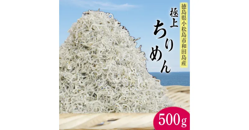 【ふるさと納税】 しらす ちりめん 500g 5月から発送 しらす干し シラス こめ 米 のお供 乾物 じゃこ 新鮮 海鮮 魚 丼 厳選 お取り寄せ グルメ ギフト 贈答 小松島 徳島