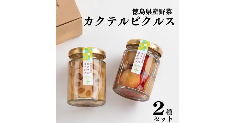 【ふるさと納税】 さつまいも れんこん ピクルス 60g 徳島県産 野菜 2種 セット 漬物 つけもの カクテル なると金時 さつま芋 酢 かき 柿 ゆず パッション フルーツ 素材 ギフト 贈り物 家庭用 食品 酒 ビール おつまみ 弁当 惣菜 おかず 健康 徳島