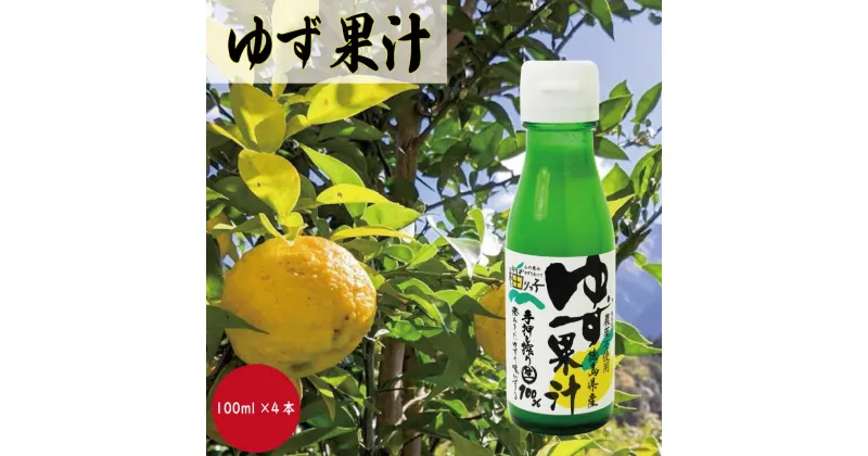 【ふるさと納税】 ゆず果汁 100ml × 4本 ストレート果汁 果汁100% 柚子果汁 調味料 ゆず酢 柚子酢 柚子搾り汁 ギフト お歳暮 お中元 贈答用 農薬不使用 徳島