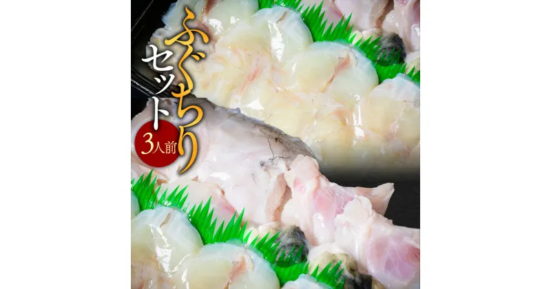 【ふるさと納税】ふぐちりセット（3人前）送料無料 ふぐ 刺身 人気 ランキング 食品 魚介 魚介類 お刺身 刺身 魚介 類 海鮮 ふぐ フグ 虎ふぐ ふぐ刺し さしみ 贈答 贈答用 ギフト お取り寄せ お取り寄せグルメ 国産 年内 AE014