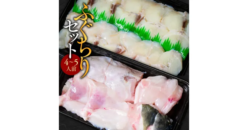 【ふるさと納税】ふぐちりセット（4～5人前）送料無料 ふぐ 刺身 人気 ランキング 食品 魚介 魚介類 お刺身 刺身 魚介 類 海鮮 ふぐ フグ 虎ふぐ ふぐ刺し さしみ 贈答 贈答用 ギフト お取り寄せ お取り寄せグルメ 国産 年内 AE015