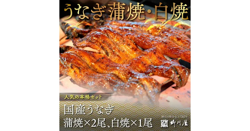 【ふるさと納税】国産うなぎ蒲焼×2尾、白焼×1尾　送料無料 うなぎ 鰻 国産　AF004