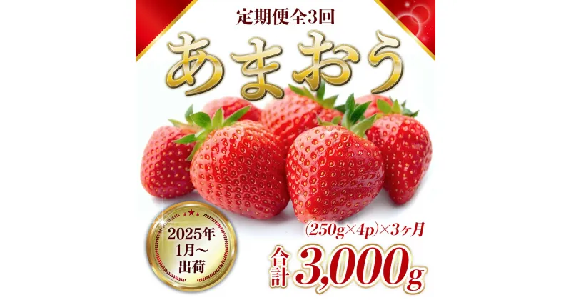 【ふるさと納税】定期便全3回 福岡県産 あまおう 合計3000g 送料無料 スイーツ スムージー ケーキ ギフト お祝い ショートケーキ タルト 限定 季節限定 BA008先行予約 2025年1月より順次発送