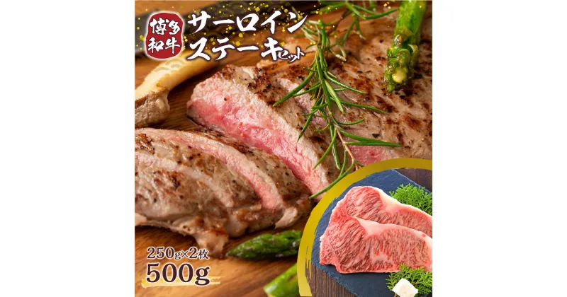 【ふるさと納税】【A4～A5】博多和牛サーロインステーキセット 500g(250g×2枚)　送料無料 博多和牛 牛肉 名産品 お取り寄せ お取り寄せグルメ AO010