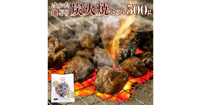 【ふるさと納税】はかた地どり炭火焼セット500g(100g×5p) 送料無料 地鶏 炭火焼 鶏肉 名産品 お取り寄せ お取り寄せグルメ AO043