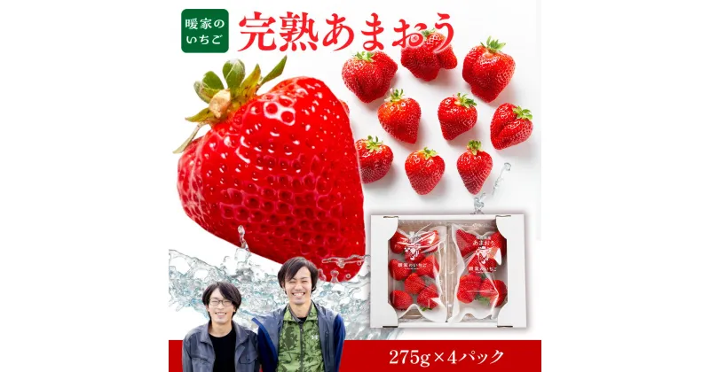 【ふるさと納税】 暖家のいちご 完熟あまおう 275g×4パック 送料無料 あまおう いちご 名産品 果物 AB003