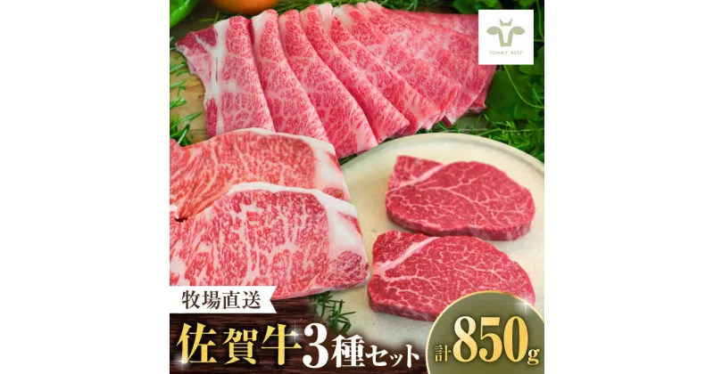 【ふるさと納税】【レビューキャンペーン実施中】【牧場直送】佐賀牛すき焼き用500gと佐賀牛サーロインステーキ200gとヒレステーキ150g 佐賀県／有限会社佐賀セントラル牧場[41ASAA112]