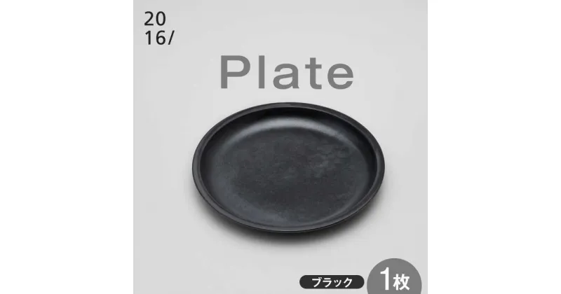 【ふるさと納税】【レビューキャンペーン実施中】【有田焼】2016/ TY Plate / 焼物 焼き物 やきもの 陶器 / 佐賀県 /佐賀県/2016株式会社[41APAT007]