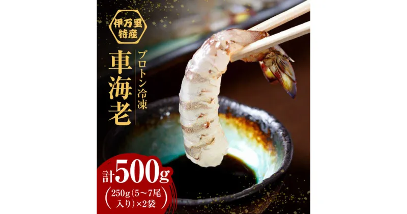 【ふるさと納税】【レビューキャンペーン実施中】車海老 計500g（250g×2袋）/ 刺身 しゃぶしゃぶ 伊万里特産 プロトン冷凍 エビ えび 海老 車海老 / 佐賀県 / 拓水 伊万里クルマエビセンター [41AEAJ007]