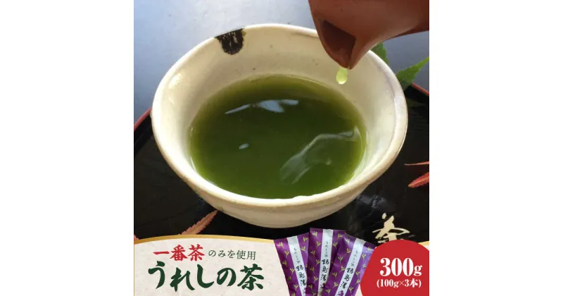 【ふるさと納税】【レビューキャンペーン実施中】【一番摘み茶葉のみを使用！】老舗茶屋 川原茶業の特別な嬉野茶（一番茶 かぶせ玉緑茶100g×3本入）/ 佐賀県 / 株式会社川原茶業 [41AIAV003]