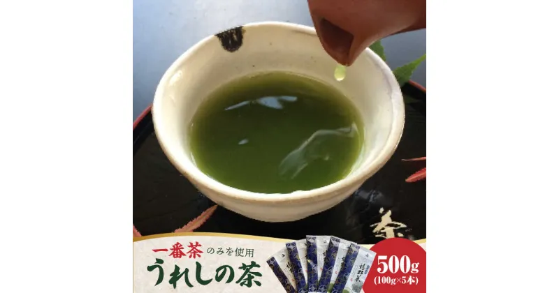 【ふるさと納税】【レビューキャンペーン実施中】【一番摘み茶葉のみを使用！】老舗茶屋川原茶業の嬉野茶（一番茶かぶせ玉緑茶100g×5本入）/ 佐賀県 / 株式会社川原茶業 [41AIAV004]