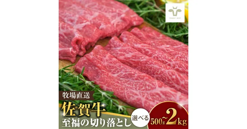 【ふるさと納税】【レビューキャンペーン実施中】【選べる内容量】佐賀牛切り落とし / 佐賀牛 牛肉 切り落とし ロース モモ カタ バラ 赤身 すき焼き しゃぶしゃぶ 小分け / 佐賀県 / 佐賀セントラル牧場 [41ASAA021]