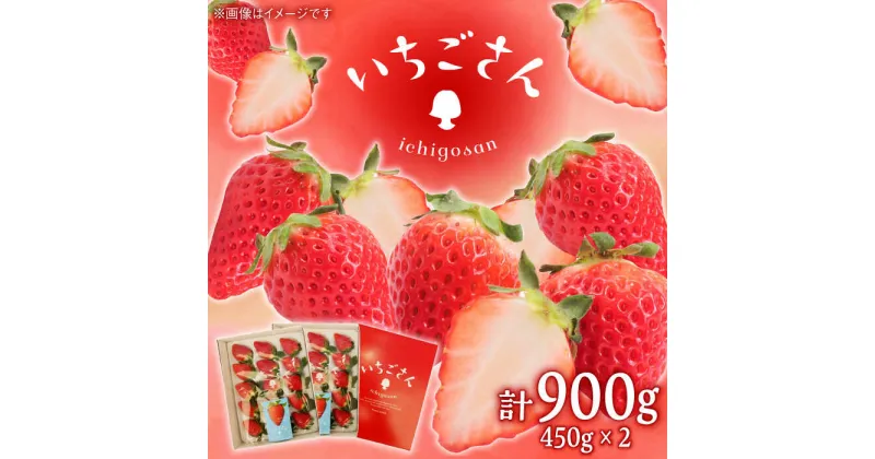 【ふるさと納税】【レビューキャンペーン実施中】【先行予約】【佐賀県産いちご】いちごさん（450g×2パック）/ いちご イチゴ 苺 果物 フルーツ / 佐賀県 / JAからつ 唐津うまかもん市場 [41ABCA002]