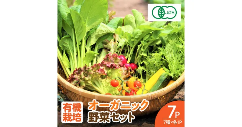 【ふるさと納税】【レビューキャンペーン実施中】【植物性で育てた葉野菜ブランド】 サガンベジオーガニックサラダミニセット 7種×1パック 有機JAS 佐賀県 / 株式会社サガンベジ [41ANCH001]