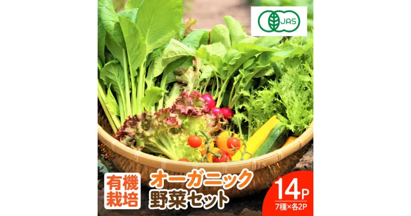 【ふるさと納税】【レビューキャンペーン実施中】【植物性で育てた葉野菜ブランド】 オーガニック葉物野菜セット 7種×2パック 有機JAS 旬 新鮮 お試し やさい セット 詰め合わせ 採れたて佐賀県 / 株式会社サガンベジ [41ANCH002]