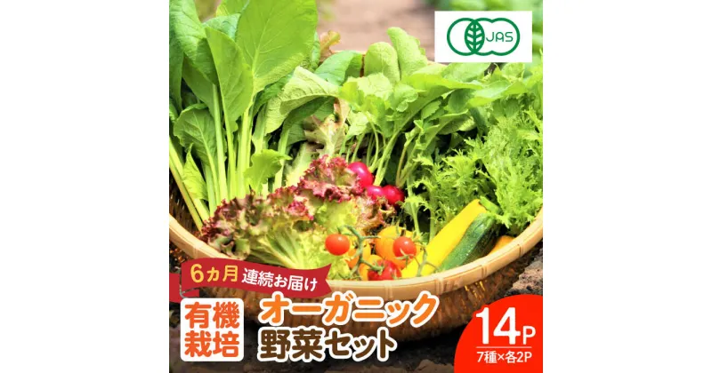 【ふるさと納税】【レビューキャンペーン実施中】【植物性で育てた葉野菜ブランド】【全6回定期便】 オーガニック葉物野菜セット 7種×2パック 有機JAS 佐賀県 / 株式会社サガンベジ [41ANCH006]