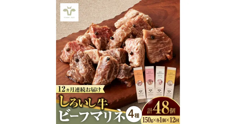 【ふるさと納税】【レビューキャンペーン実施中】【牧場直送】【全12回定期便】味付肉ビーフマリネ4種 佐賀県/有限会社佐賀セントラル牧場[41ASAA178]