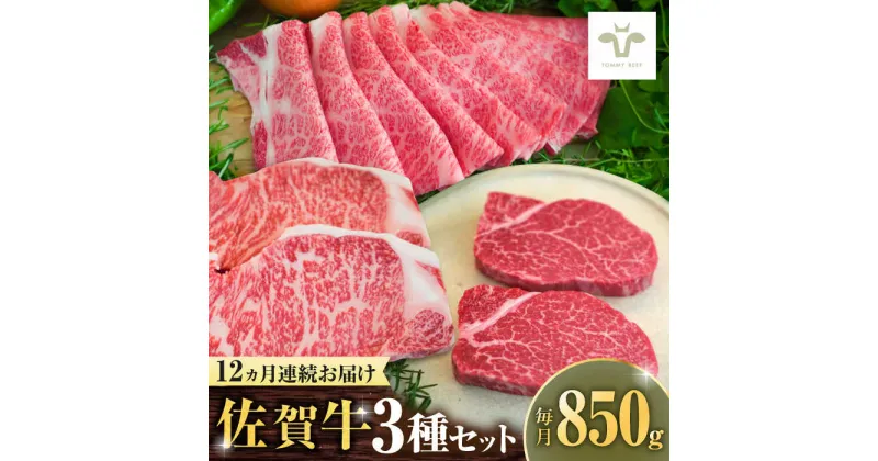 【ふるさと納税】【レビューキャンペーン実施中】【全12回定期便】佐賀牛 すき焼き用とサーロインステーキとヒレステーキ食べ比べ 計10.2kg / ブランド牛 和牛 黒毛和牛 小分け / 佐賀県 / 有限会社佐賀セントラル牧場[41ASAA274]