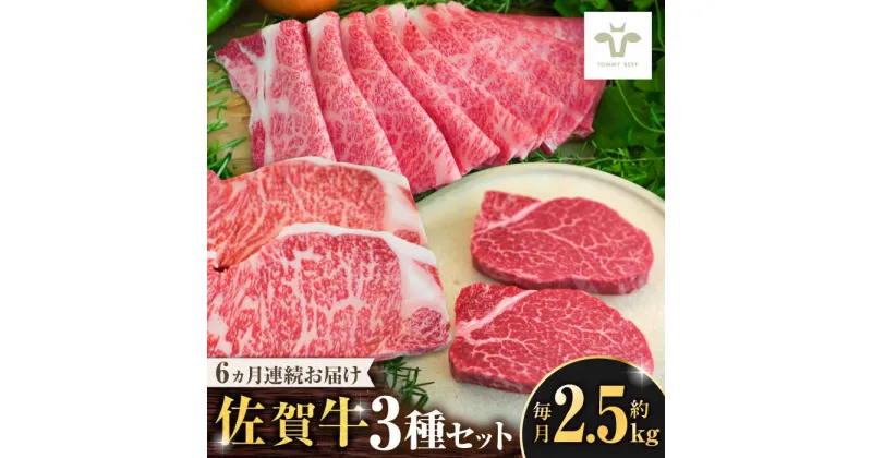 【ふるさと納税】【レビューキャンペーン実施中】【全6回定期便】佐賀牛 すき焼き用とサーロインステーキとヒレステーキ食べ比べ 計15.3kg / ブランド牛 和牛 黒毛和牛 小分け / 佐賀県 / 有限会社佐賀セントラル牧場[41ASAA279]