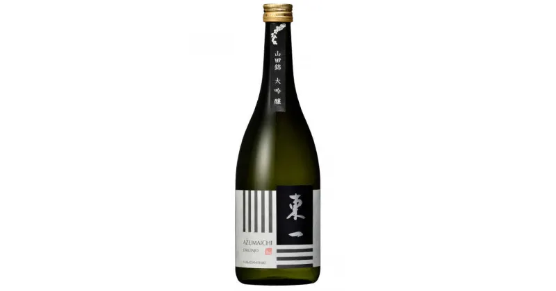 【ふるさと納税】東一 大吟醸・純米大吟醸 セット 720ml×2本 / 日本酒 お酒 銘酒 地酒 / 佐賀県 / 有限会社嬉野酒店[41AIAA001]