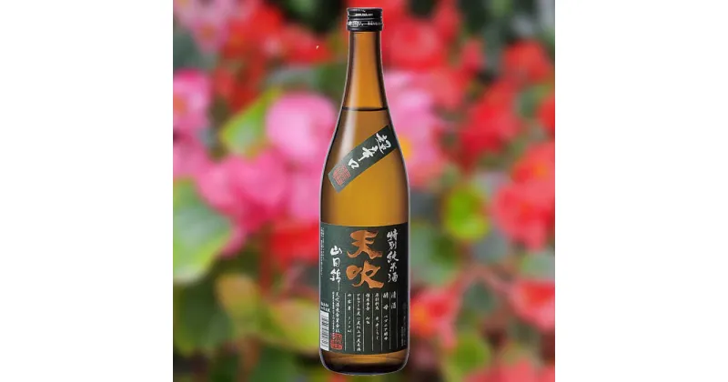 【ふるさと納税】天吹 超辛口特別純米 生・火入れ 飲み比べ 各720ml×1本 / 日本酒 お酒 銘酒 地酒 / 佐賀県 / 天吹酒造合資会社 [41ANCX014]