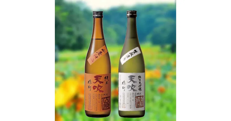 【ふるさと納税】天吹 生酉元・山廃造りセット 720ml×1本 / 日本酒 お酒 銘酒 地酒 / 佐賀県 / 天吹酒造合資会社 [41ANCX012]