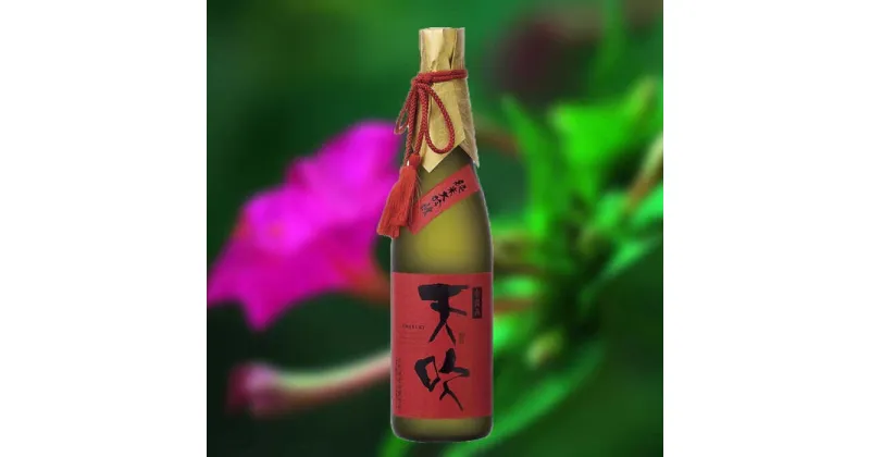 【ふるさと納税】天吹 純米大吟醸 中汲み 720ml×1本 / 日本酒 お酒 銘酒 地酒 / 佐賀県 / 天吹酒造合資会社 [41ANCX006]