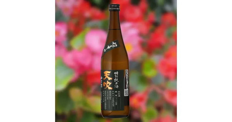 【ふるさと納税】【The SAGA 認定酒】天吹 超辛口特別純米酒 720ml×1本 / 日本酒 お酒 銘酒 地酒 / 佐賀県 / 天吹酒造合資会社 [41ANCX004]