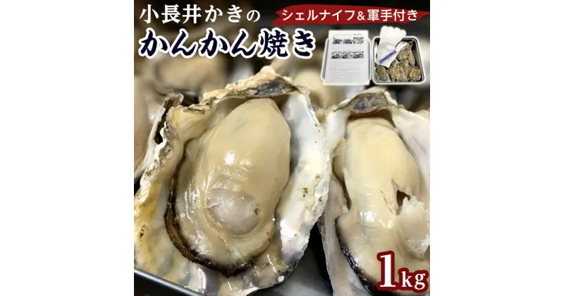 【ふるさと納税】小長井かきのかんかん焼き | かき カキ 小長井牡蠣 かんかん焼き 長崎 長崎県 お取り寄せグルメ お取り寄せ グルメ ご当地グルメ ご当地 食品 食べ物 お土産 支援 九州 楽天納税 支援品 返礼品 取り寄せ 海産物 海鮮 牡蠣 カンカン焼き 特産品