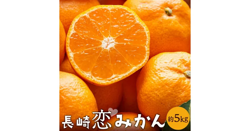 【ふるさと納税】長崎恋みかん 5kg＜期間限定／先行予約＞【2024年11月中旬以降順次発送】 | みかん フルーツ 果物 先行予約 長崎 長崎県 九州 送料無料 人気 おすすめ 特産品