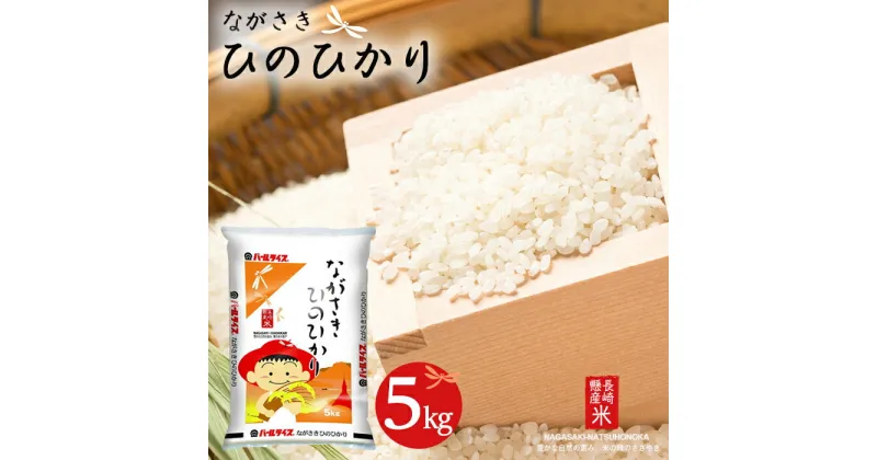 【ふるさと納税】長崎県産米 令和6年産 ながさきひのひかり 5kg | 長崎県 長崎 九州 返礼品 お土産 お取り寄せ 米 お米 おこめ こめ コメ ひのひかり 白米 5キロ ブランド米 特産品 特産 取り寄せ 土産 楽天ふるさと納税 楽天 納税 名産品 名産