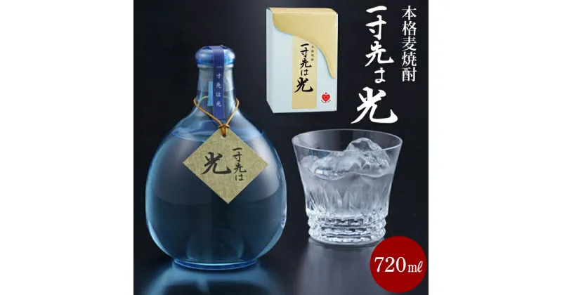 【ふるさと納税】一寸先は光　720ml | むぎ焼酎 送料無料 お取り寄せ 取り寄せ アルコール飲料 西海市 本格焼酎 瓶 ご当地 楽天ふるさと納税 楽天ふるさと 納税 名