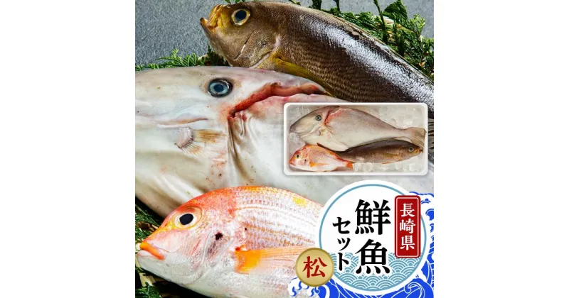 【ふるさと納税】長崎鮮魚セット（松）