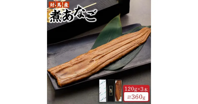 【ふるさと納税】長崎 対馬産 煮あなご 120g×3本 セット 冷凍 真空 | ふわふわ 計360g おすすめ セット 穴子 アナゴ 穴子丼 魚介類 魚 お取り寄せ