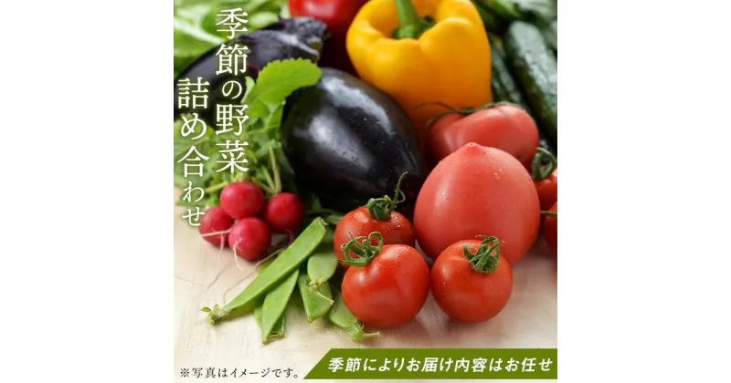 【ふるさと納税】長崎県産　季節の野菜BOX【産直松吉】 | 野菜 詰め合わせ 詰合せ 長崎 長崎県 九州 旬 送料無料 果物 フルーツ お取り寄せ