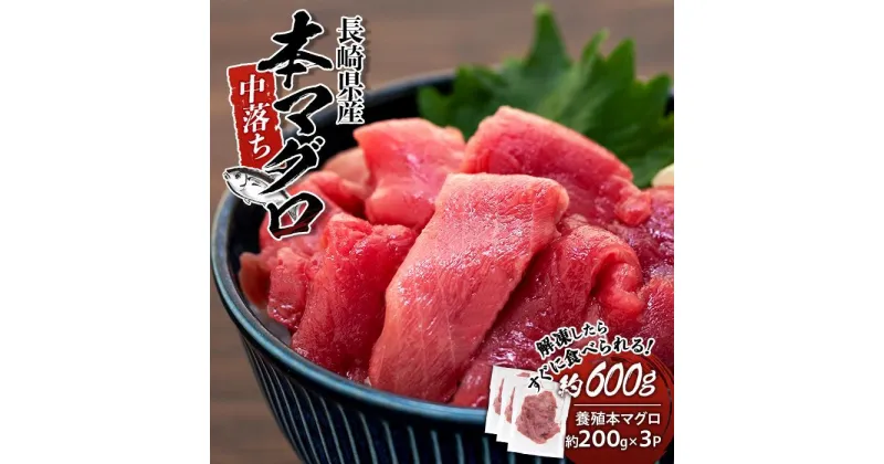 【ふるさと納税】長崎県産　本マグロ中落ち（約600g） | マグロ 鮪 中落 小分け 刺身 養殖 海鮮丼 手巻き寿司 魚介類 海鮮 高級 お取り寄せ グルメ ギフト おつまみ 長崎 まぐろ 送料無料 九州