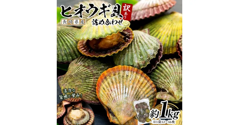 【ふるさと納税】長崎県産 訳あり ヒオウギ貝 約1kg（8～15枚） 詰め合わせ | 訳アリ 規格外 1000g 不揃い 長崎 九州 貝 海鮮 魚介 セット 送料無料 お取り寄せ 人気 おすすめ おつまみ わけあり